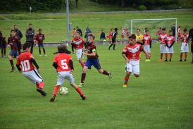 Nicoletti-Cup 18.jpg Nicoletti-Cup 18.jpg