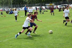 Nicoletti-Cup 29.jpg Nicoletti-Cup 29.jpg